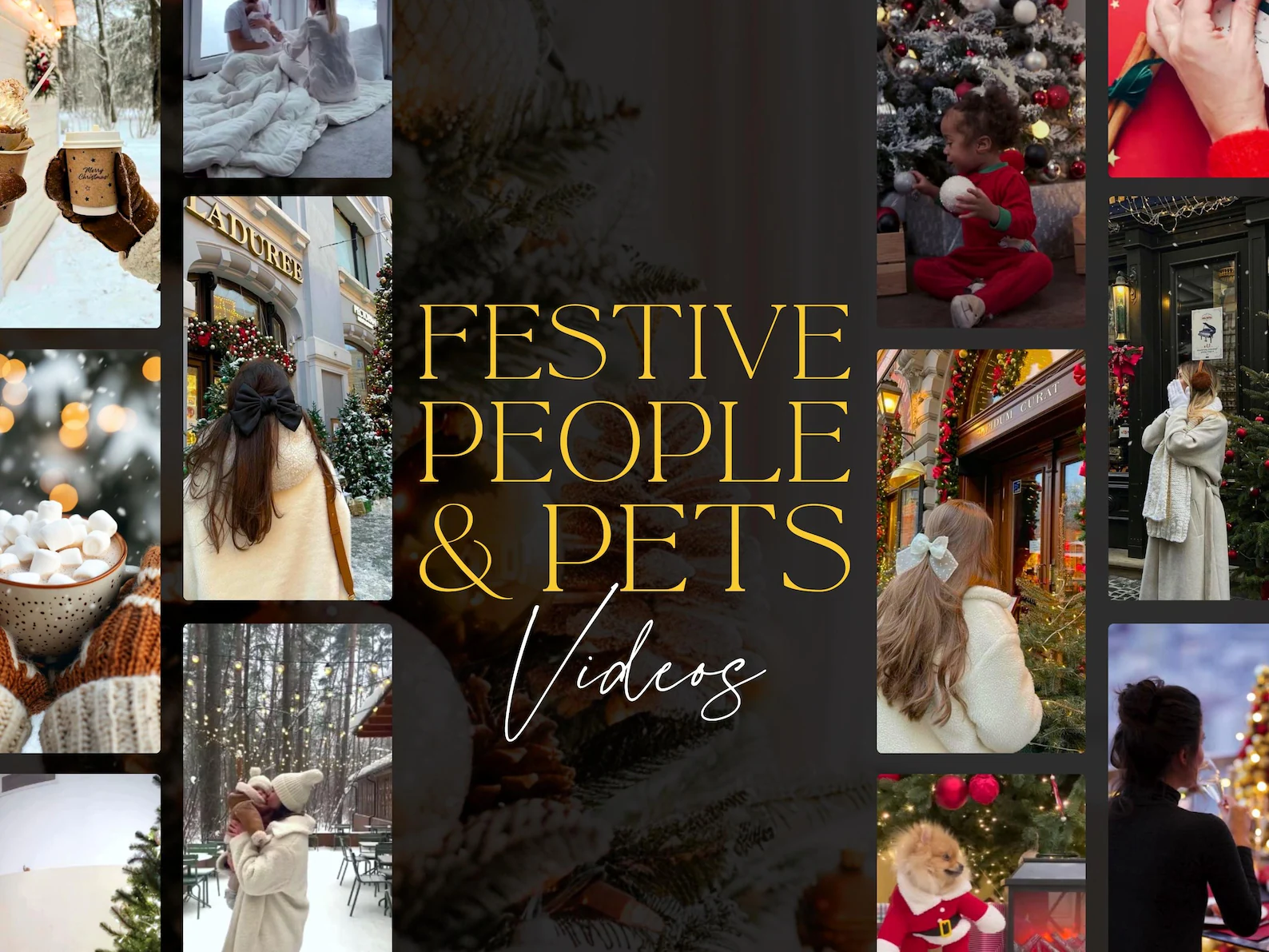 Festival People and Pets Collection
